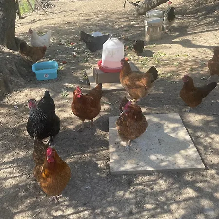 Casa Ilaria Apartment