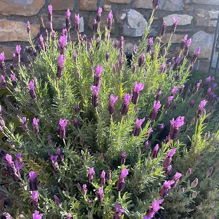 Casa Ilaria