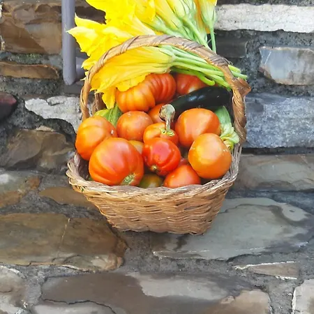 Casa Ilaria Apartment Diano Marina