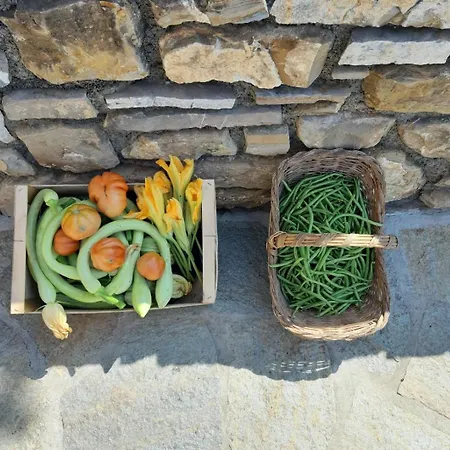 Apartment Casa Ilaria