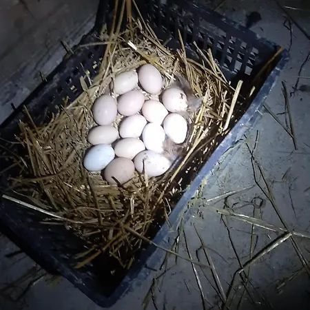 Casa Ilaria Appartement Diano Marina