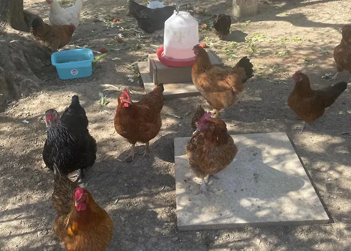 Casa Ilaria Apartamento