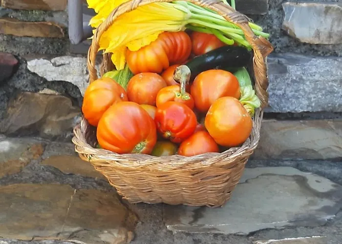 Casa Ilaria Apartamento Diano Marina